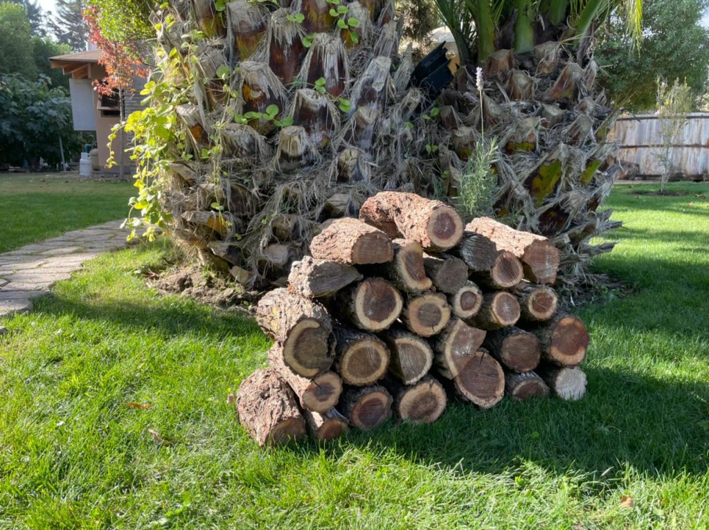 leña para asado santiago