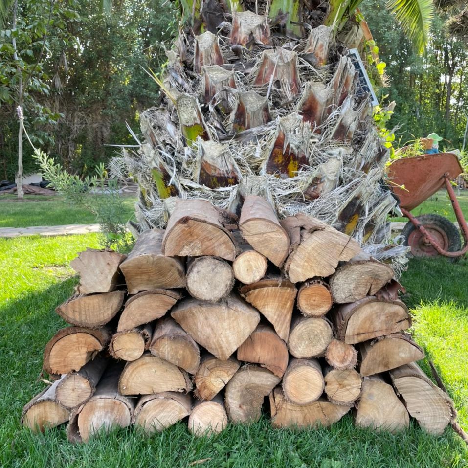 venta de leña en santiago comprar leña santiago envio gratis amigosparrilleros.cl leñaseca leña seca