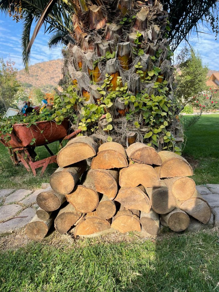 leña a domicilio santiago region metropolitana leña para asados a domicilio venta leña a domicilio