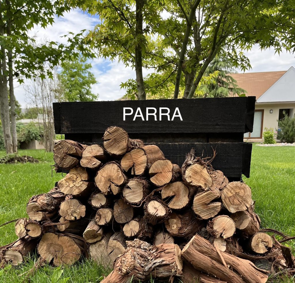 leña Parra santiago